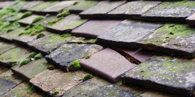 Shevington roof repair costs